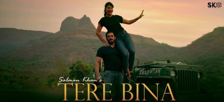 Tere Bina lyrics Salman Khan