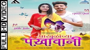 Pakhulichya Pankhawani